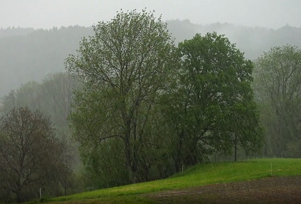 CLIMA > CARACTERIZACIÓN CLIMÁTICA > PRECIPITACIÓN